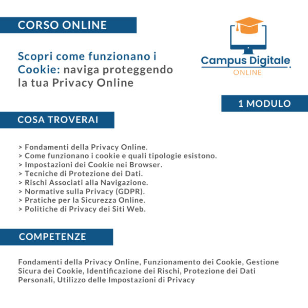 Scopri come funzionano i Cookie e naviga proteggendo la tua Privacy Online - programma